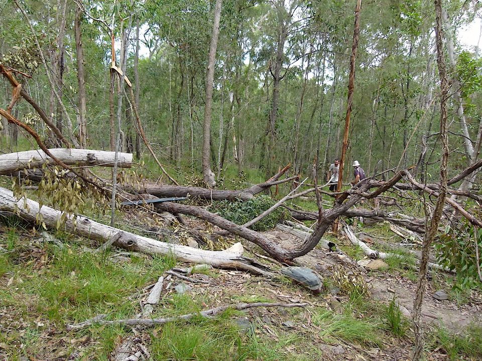 P1160442.jpg